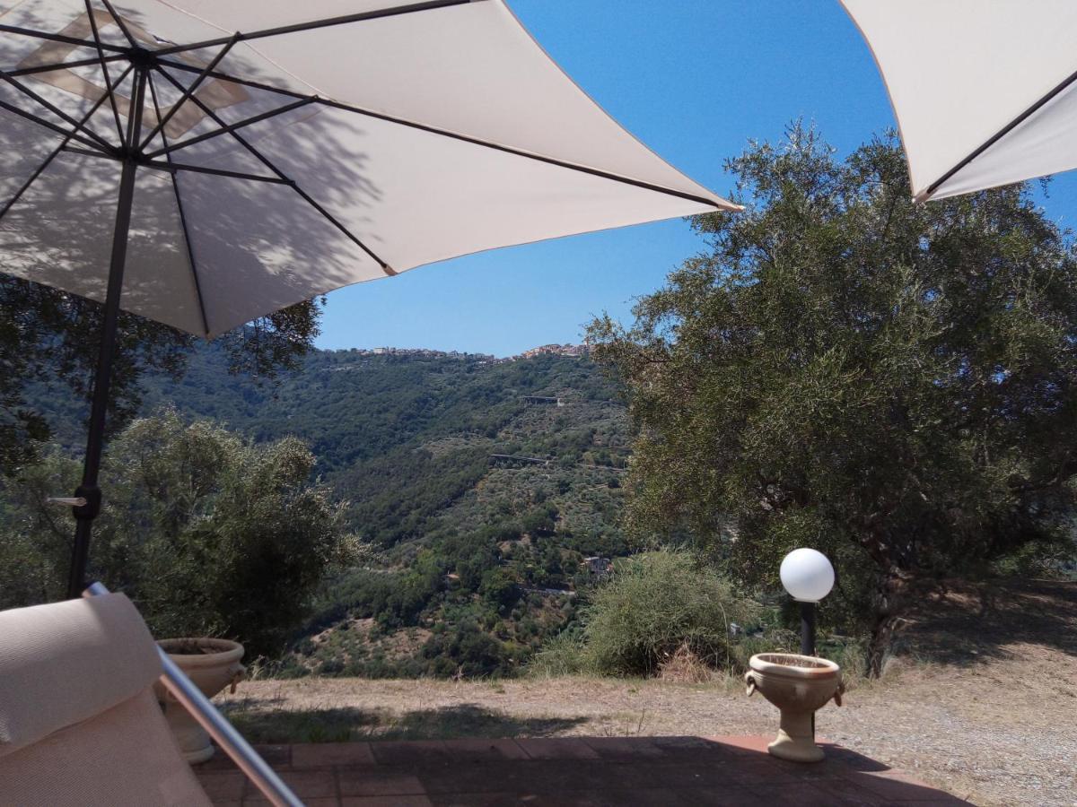 L'Antica Quercia B&B Castell'Umberto Exterior photo
