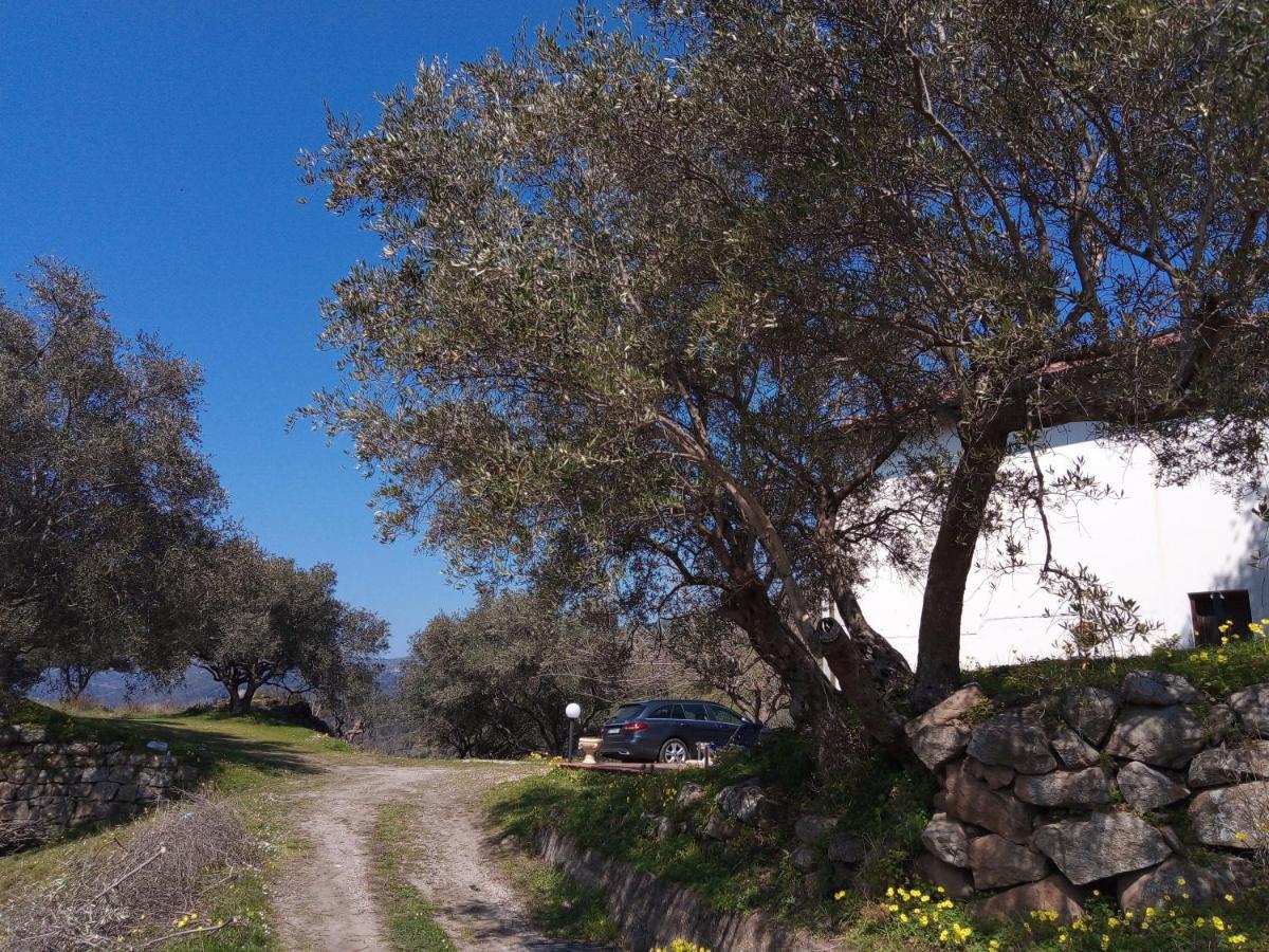 L'Antica Quercia B&B Castell'Umberto Exterior photo