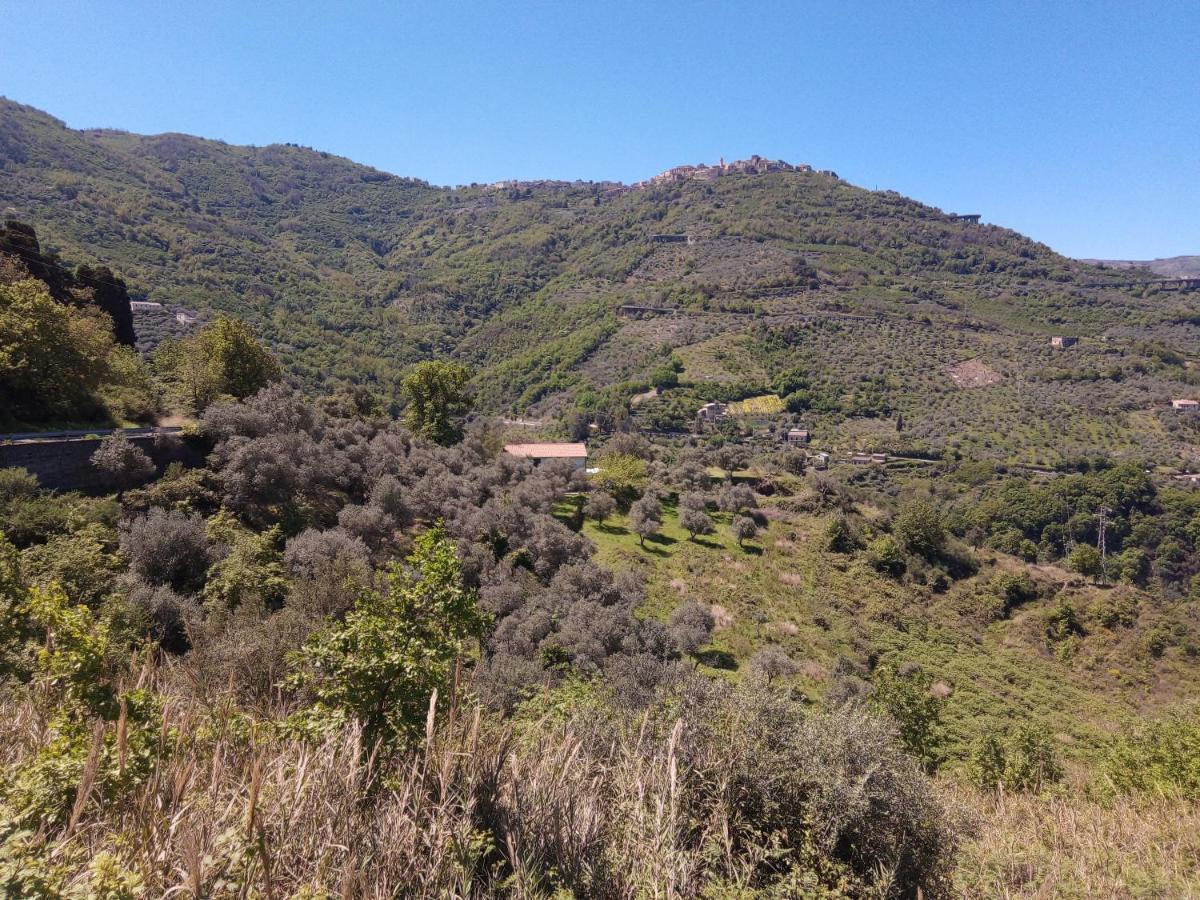 L'Antica Quercia B&B Castell'Umberto Exterior photo