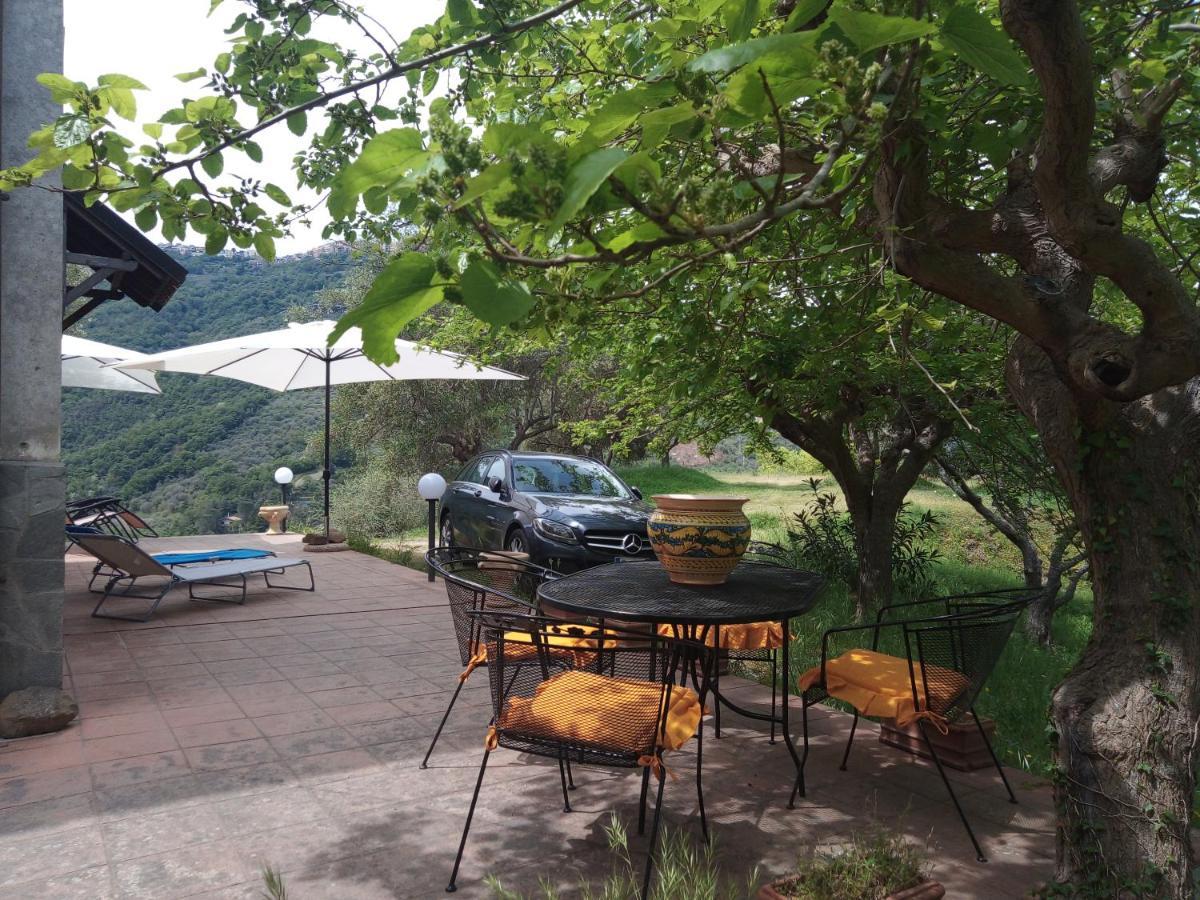 L'Antica Quercia B&B Castell'Umberto Exterior photo
