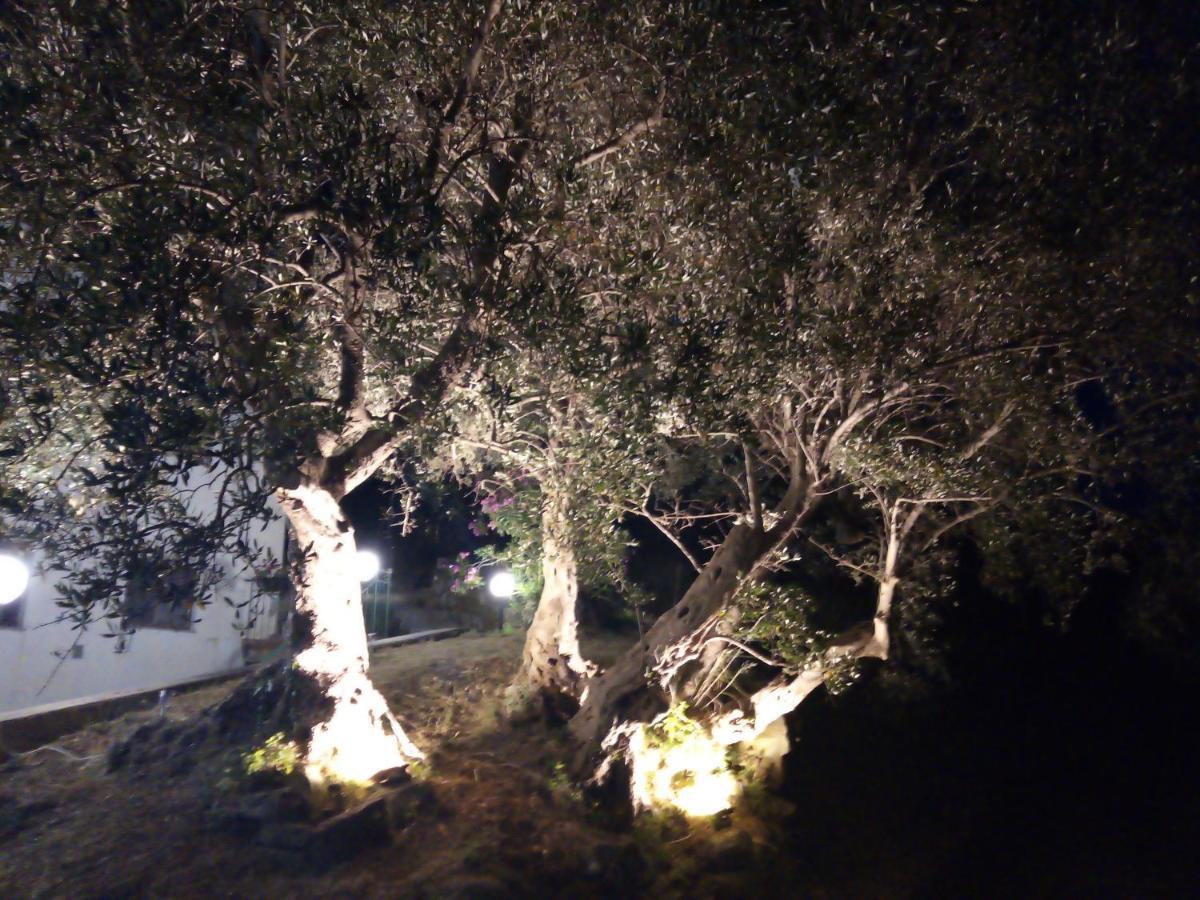 L'Antica Quercia B&B Castell'Umberto Exterior photo