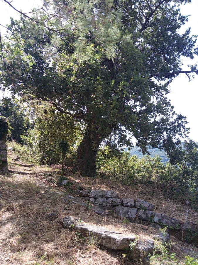 L'Antica Quercia B&B Castell'Umberto Exterior photo