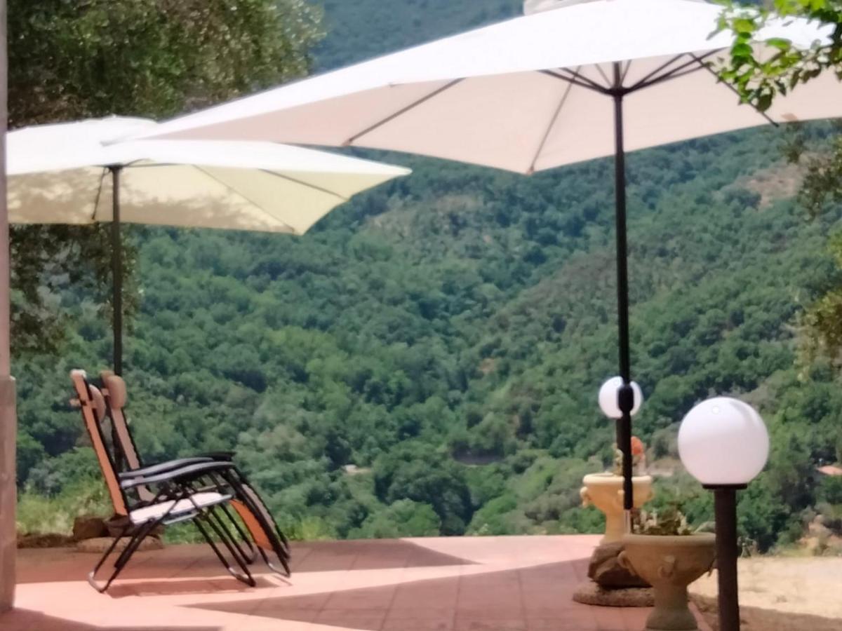 L'Antica Quercia B&B Castell'Umberto Exterior photo