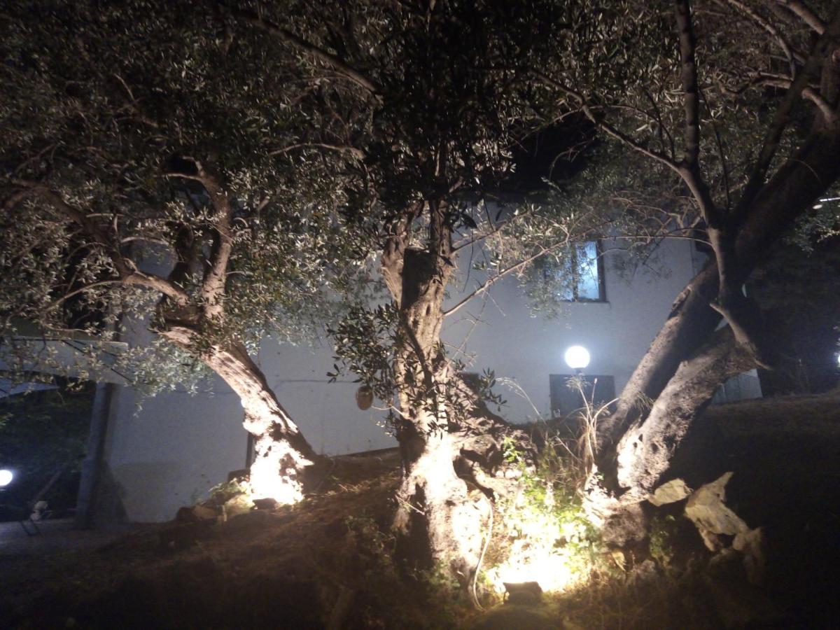 L'Antica Quercia B&B Castell'Umberto Exterior photo