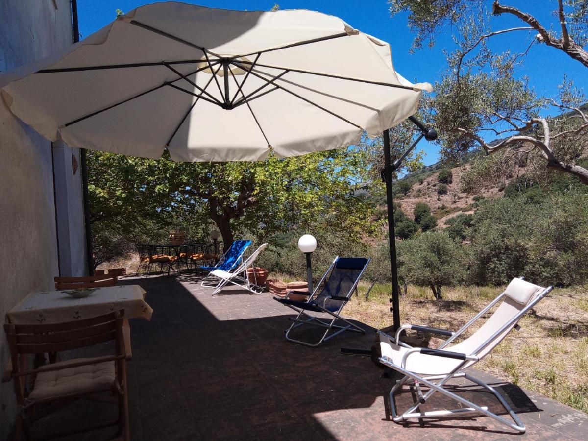 L'Antica Quercia B&B Castell'Umberto Exterior photo