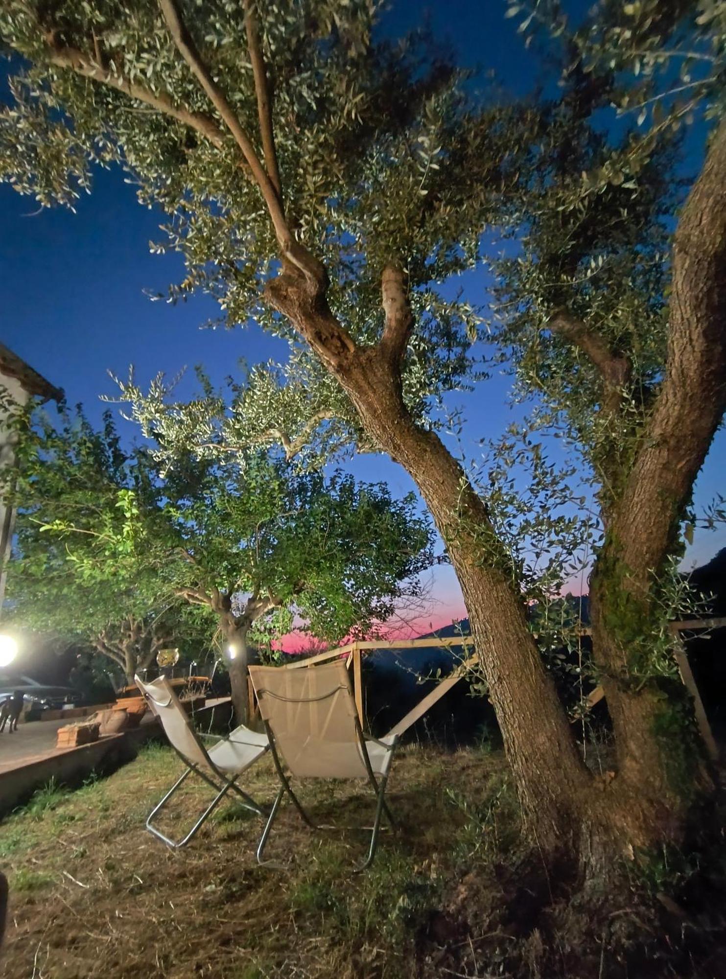 L'Antica Quercia B&B Castell'Umberto Exterior photo