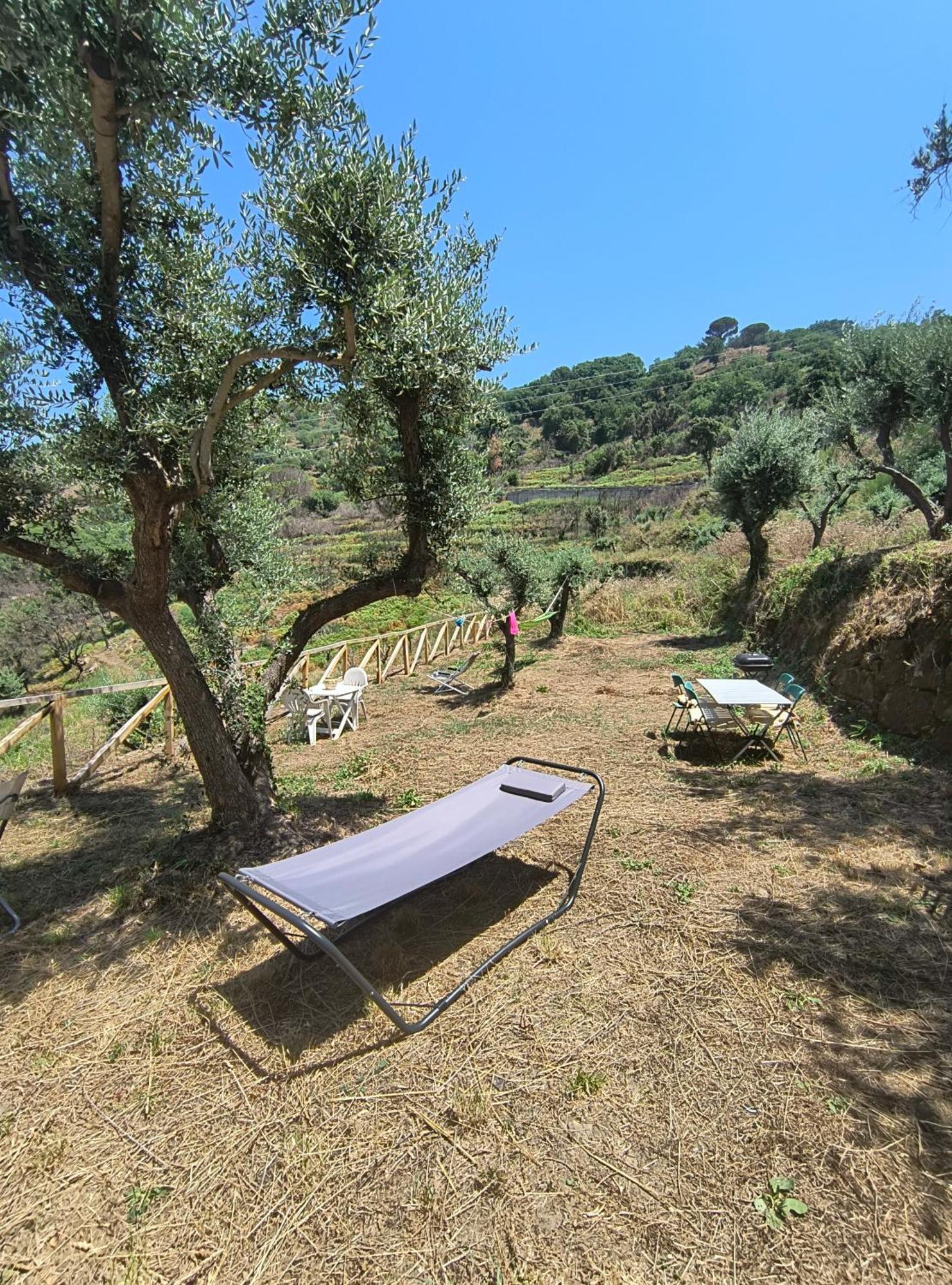 L'Antica Quercia B&B Castell'Umberto Exterior photo