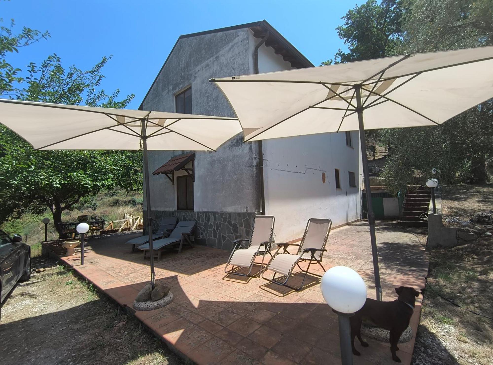 L'Antica Quercia B&B Castell'Umberto Exterior photo