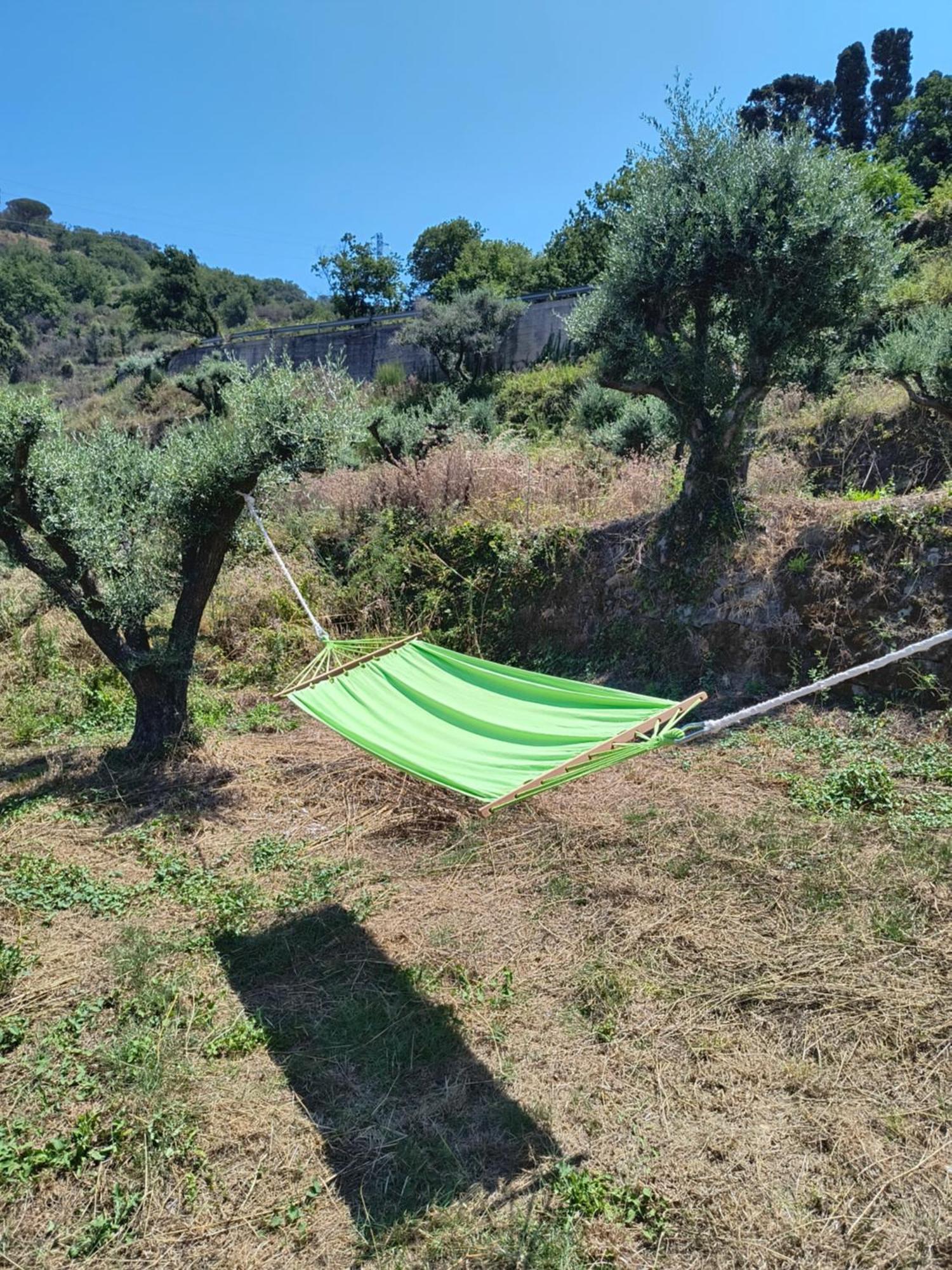 L'Antica Quercia B&B Castell'Umberto Exterior photo