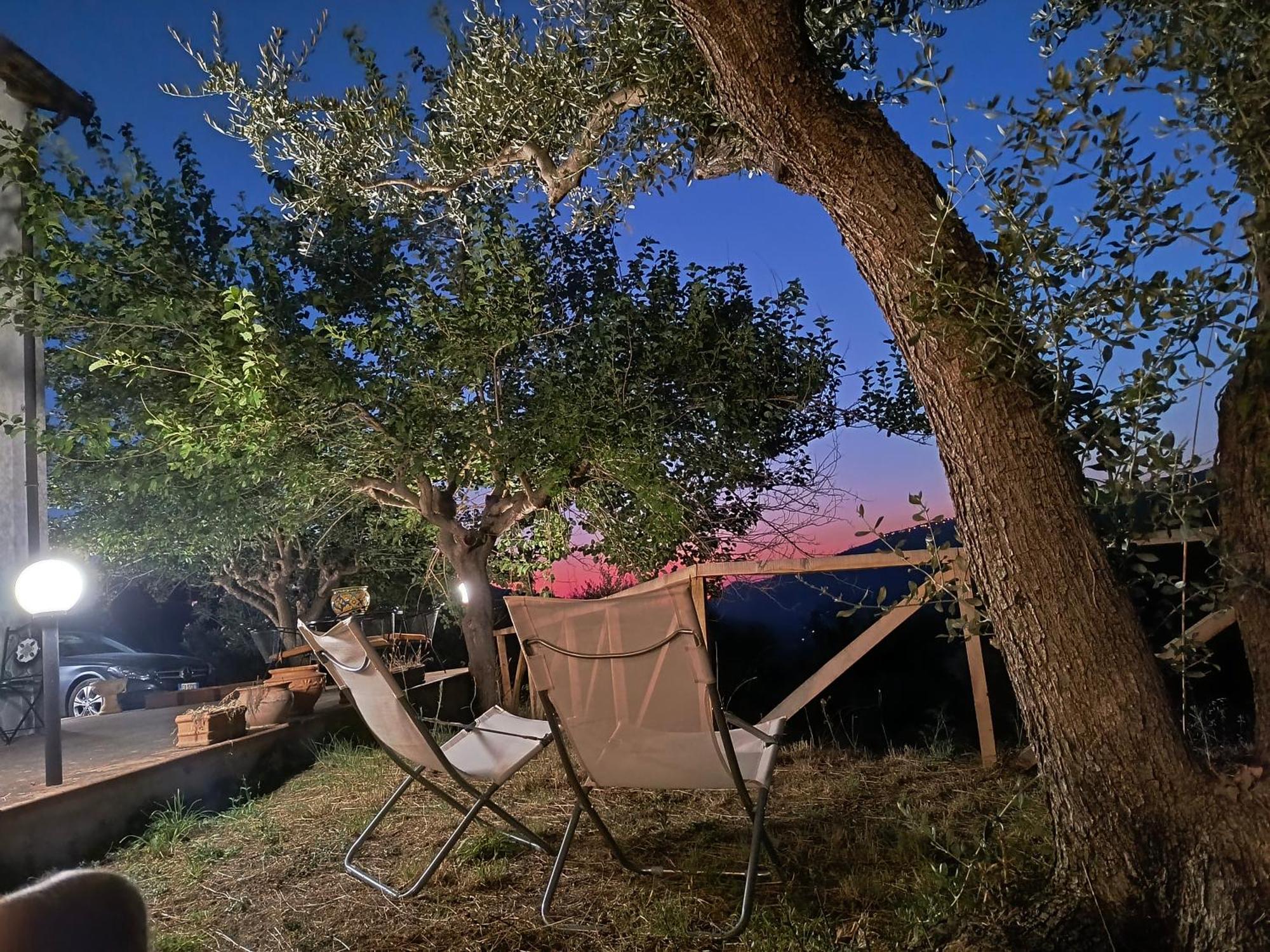 L'Antica Quercia B&B Castell'Umberto Exterior photo