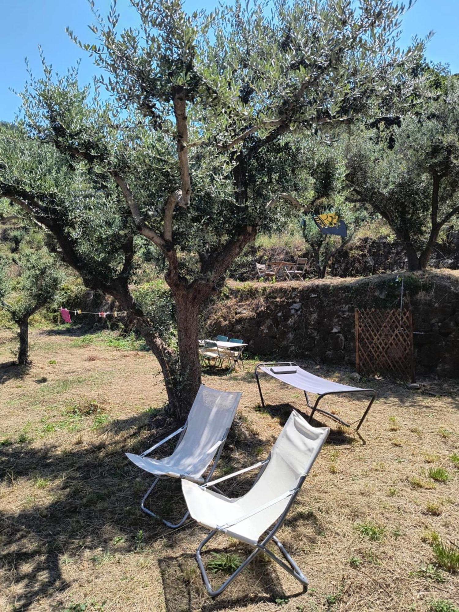 L'Antica Quercia B&B Castell'Umberto Exterior photo