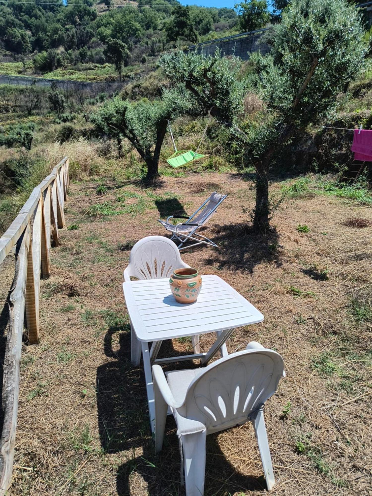 L'Antica Quercia B&B Castell'Umberto Exterior photo