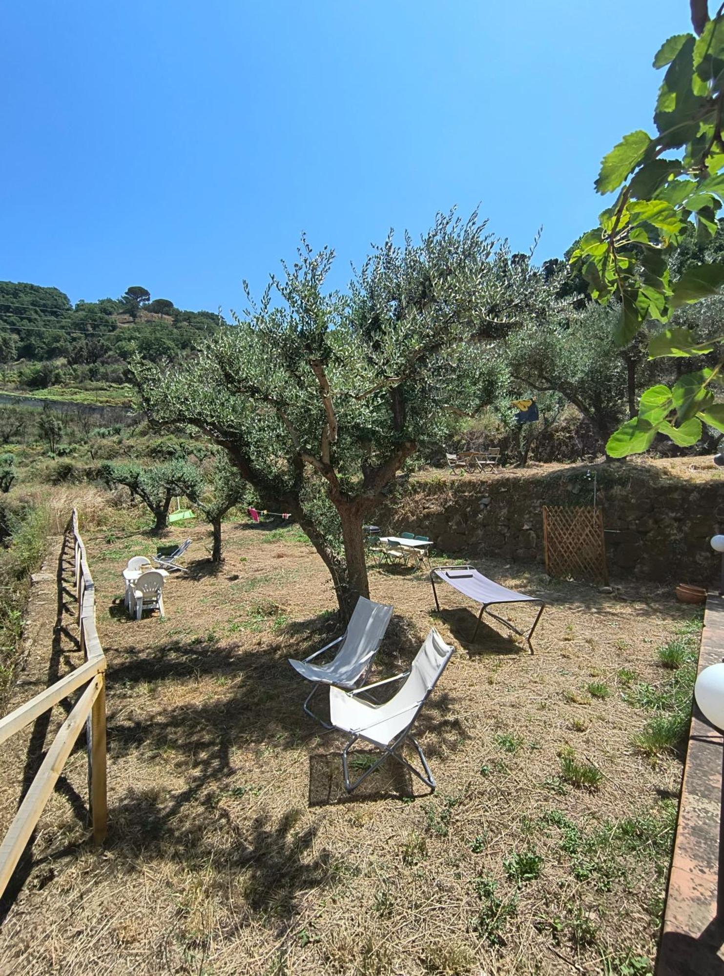 L'Antica Quercia B&B Castell'Umberto Exterior photo